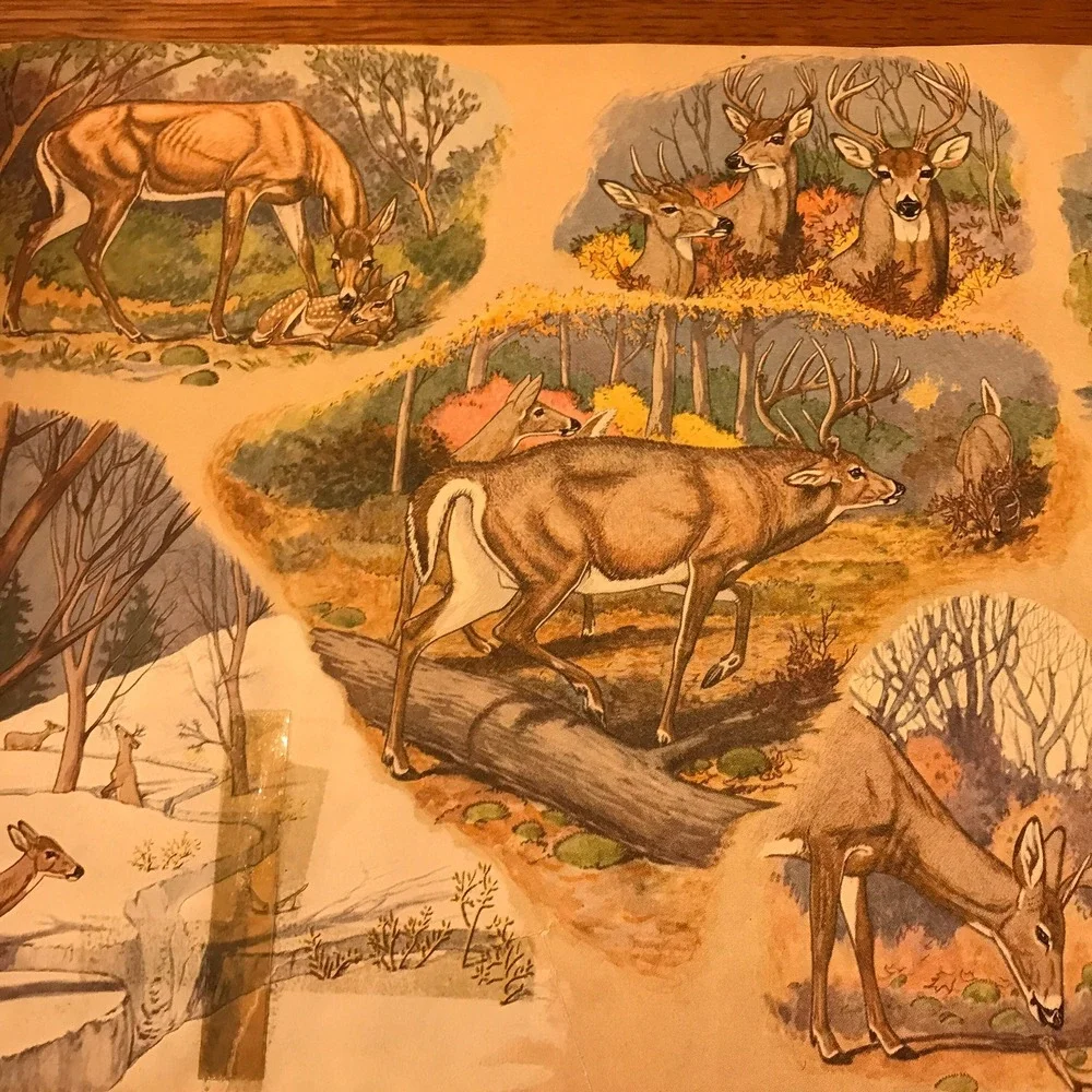 Vintage Childrens Books, Childcraft‎ Art  Music & Science and Industry, 1942 USA